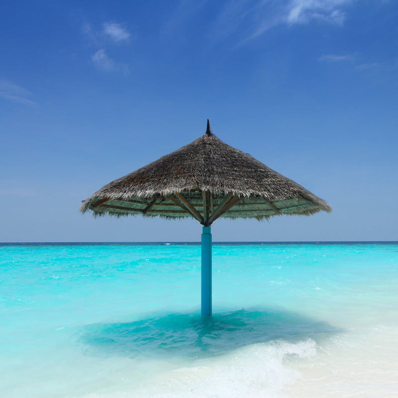 世界周遊 追加チャージデータ(127ヶ国)