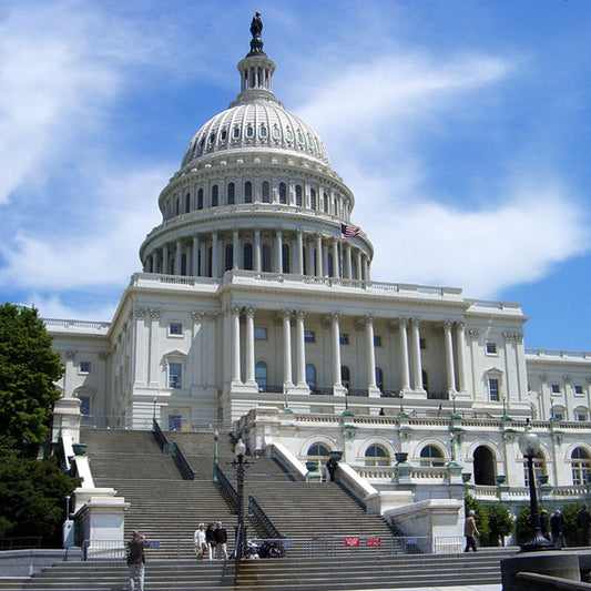 アメリカ 追加チャージデータ