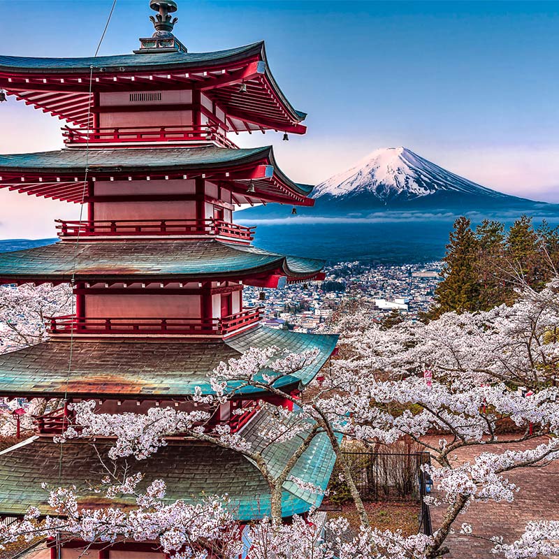 日本 追加チャージデータ 大容量